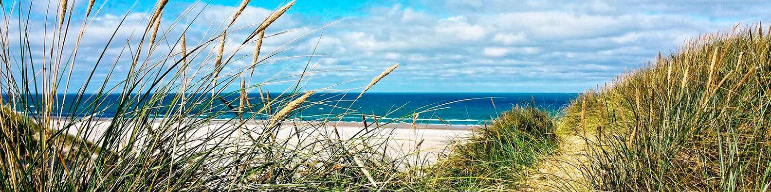 Empty beach, view from the dunes