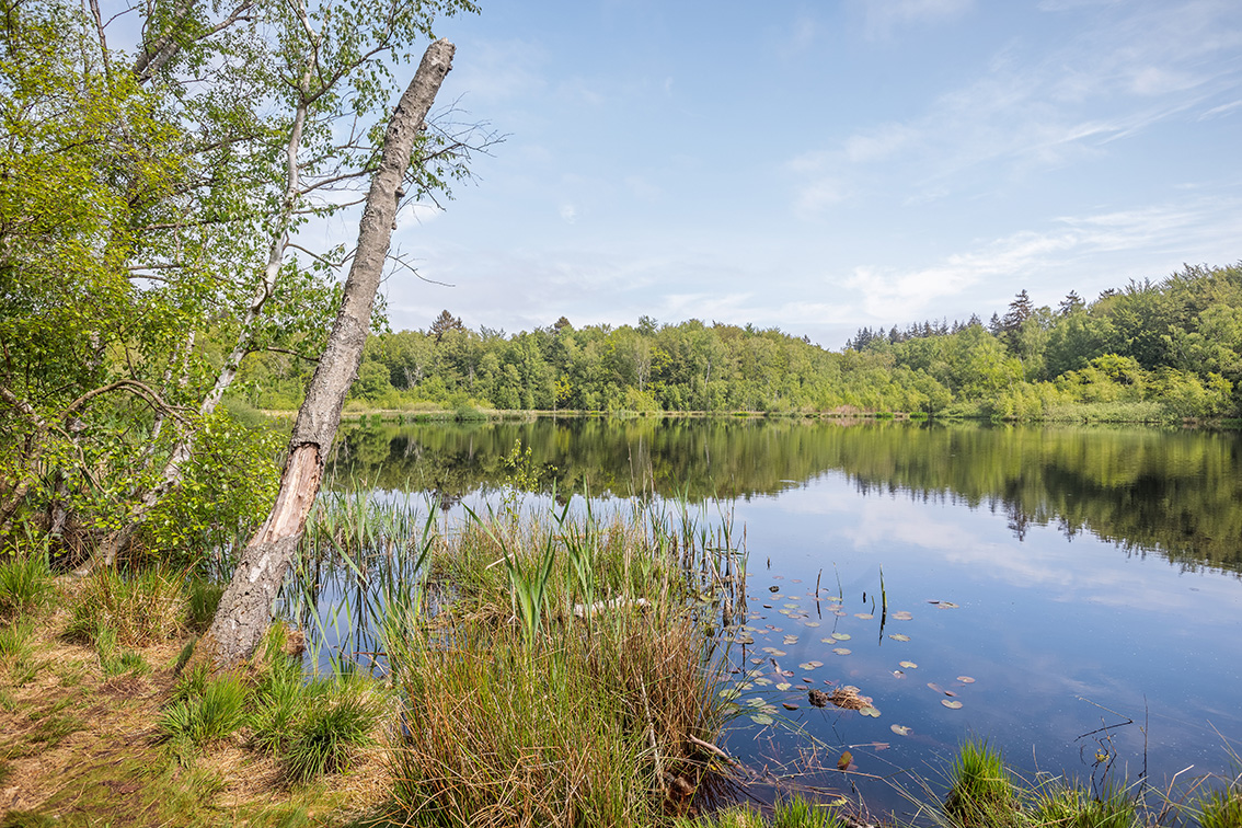 Silkeborg sø